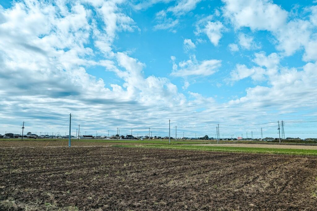 Vacant land lot in Wisconsin ready for a land loan and future home build